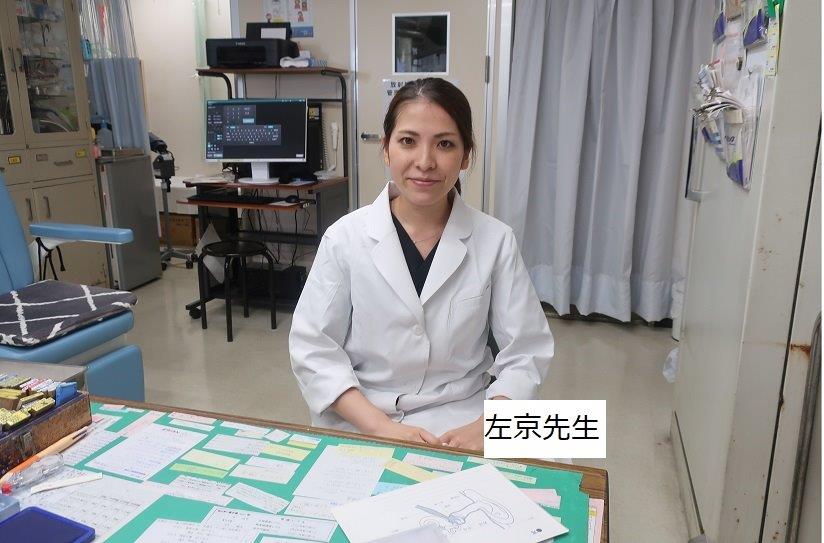 左京愛莉先生